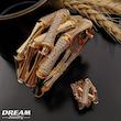 تکدست بولگاری طرح‌طلا DREAM