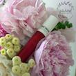لیپ اویل رد ولوت آرومانیلی | Aromanili Red Velvet Lip Oil