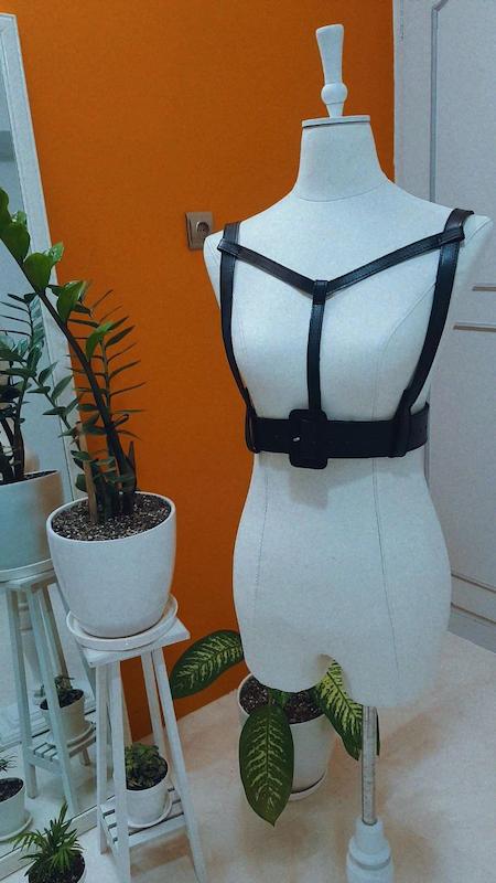 هارنس استردار