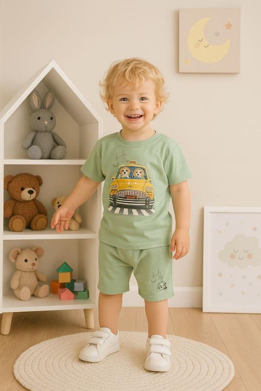 ست سگ راننده