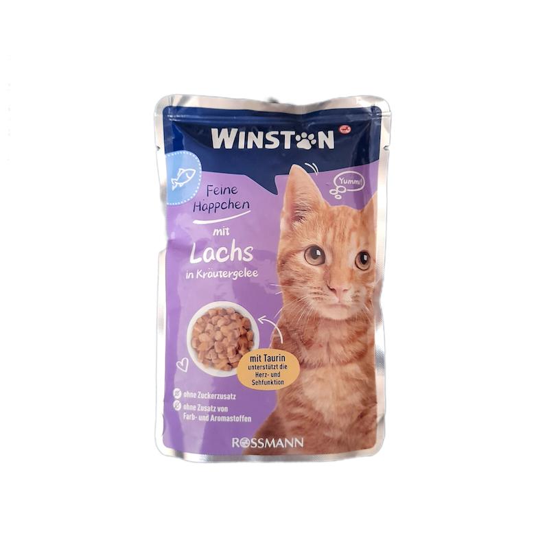 پوچ گربه وینستون مدل ماهی آزاد وزن 100 گرم