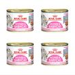 کنسرو غذای گربه رویال کنین مدل مادر و بچه گربه وزن 195 گرم مجموعه 4 عددی