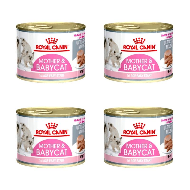 کنسرو غذای گربه رویال کنین مدل مادر و بچه گربه وزن 195 گرم مجموعه 4 عددی