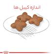 غذای خشک سگ رویال کنین مدل MINI Adult وزن 2 کیلوگرم