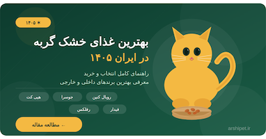 بهترین غذای خشک گربه در ایران ۱۴۰۵ | راهنمای کامل قیمت، انتخاب و خرید