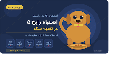 پنج اشتباه رایج در تغذیه سگ که باید بدانید