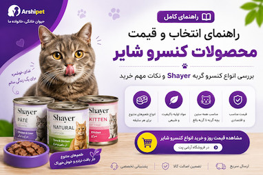راهنمای انتخاب و قیمت کنسرو گربه شایر | معرفی انواع محصولات Shayer | آرشیپت