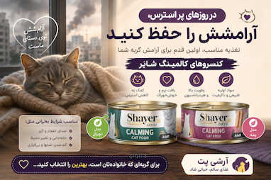 راهنمای مراقبت از گربه‌ها در شرایط پراسترس و جنگی؛ چرا کنسروهای کالمینگ شایر می‌توانند انتخاب مناسبی باشند؟