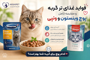 فواید غذای تر گربه و مقایسه کامل پوچ وینستون و ونپی؛ راهنمای خرید 1405