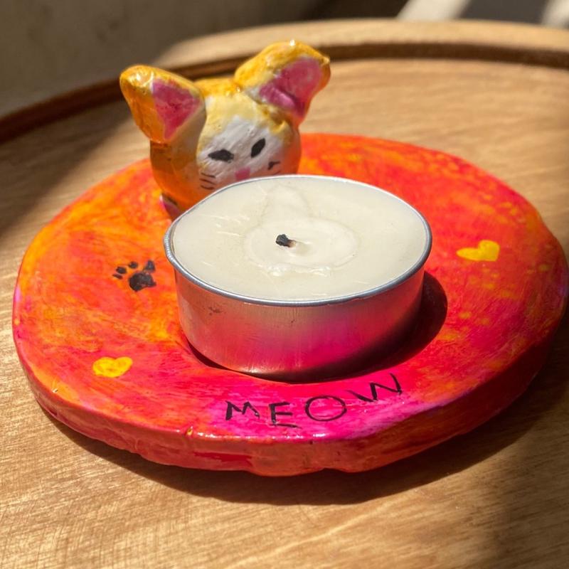 جای وارمر گربه