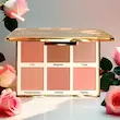 پالت رژ گونه هوهو آرتیستا | Artista HOHO Blush Palette