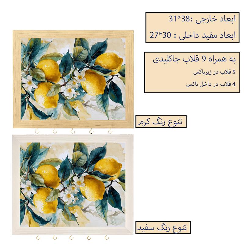کاور جعبه فیوز مدل لیمو