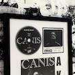 Canis - AKA