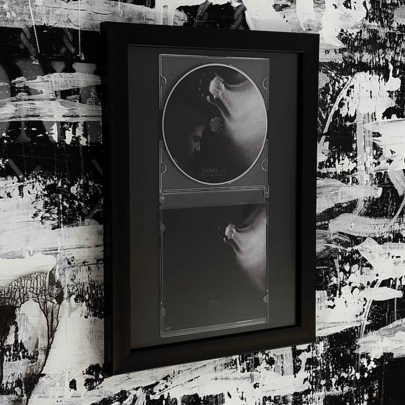 Mehrad Hidden - Toonel, Vol. 2