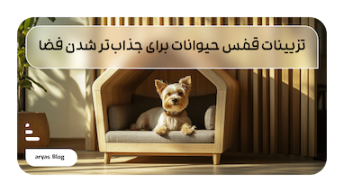 تزیینات قفس برای جذاب‌تر شدن فضا و وسایل ضروری مورد نیاز در قفس