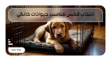 راهنمایی جامع برای انتخاب قفس مناسب حیوانات خانگی
