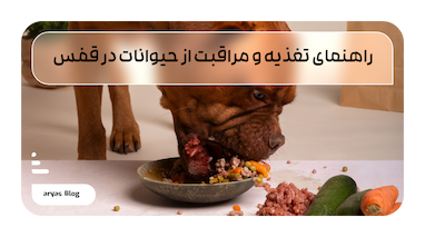 راهنمای جامع تغذیه و مراقبت از حیوانات در قفس