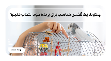 چگونه یک قفس مناسب برای پرنده خود انتخاب کنیم؟