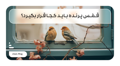 قفس پرنده باید کجا قرار بگیرد؟