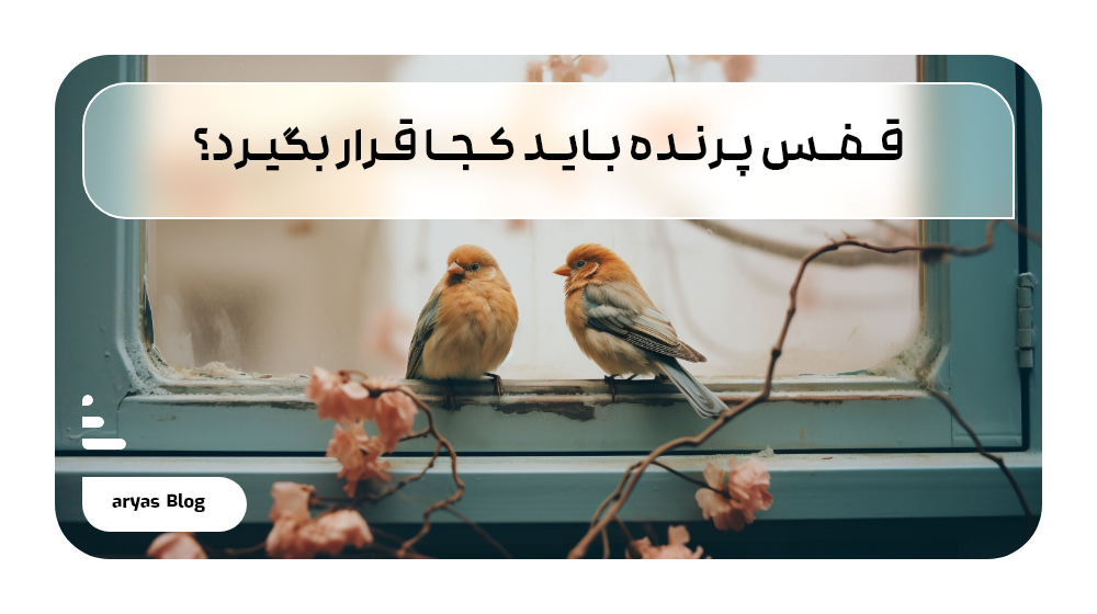قفس پرنده باید کجا قرار بگیرد؟