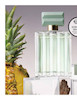 عطر مردانه گریتر GREATER for him EDT ▪️38552 🔸75 ml  