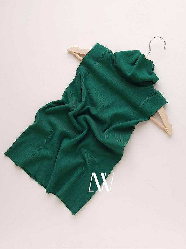 تاپ یقه اسکی