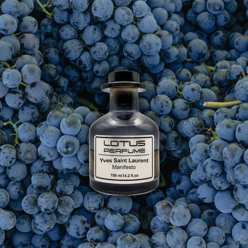 Yves Saint Laurent Manifesto | مانیفستو از ایو سن لوران (هر میل)