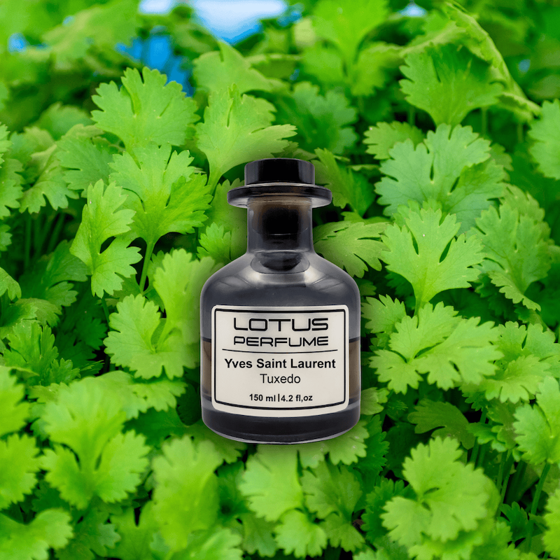 Yves Saint Laurent Tuxedo | تاکسیدو از ایو سن لوران (هر میل)