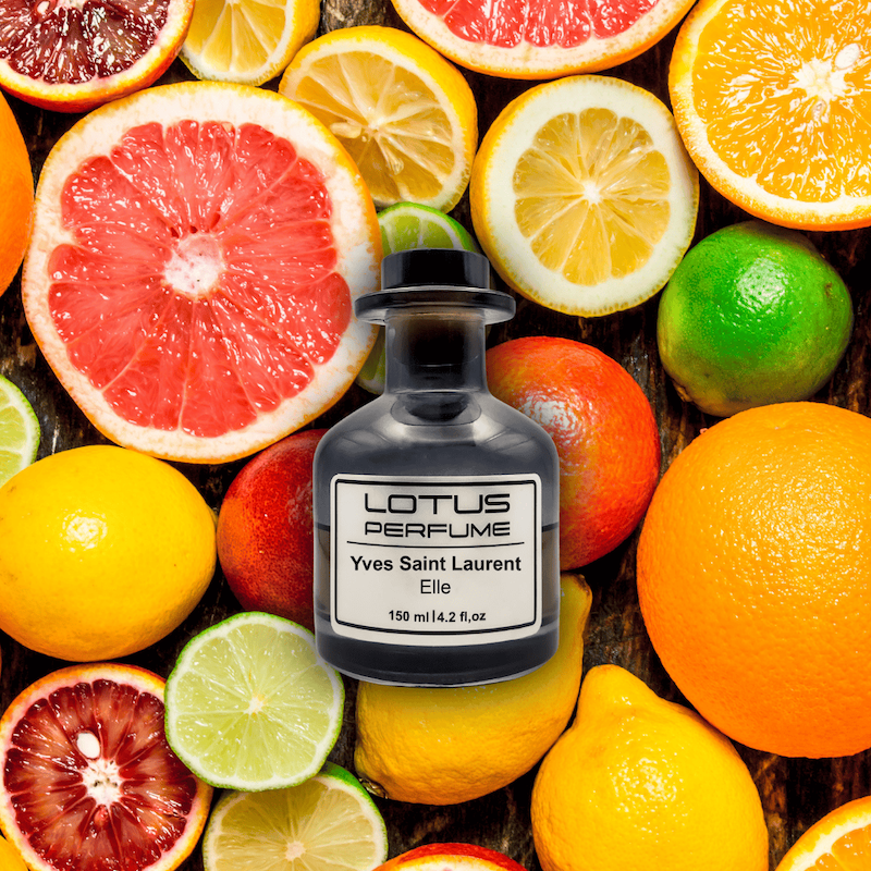 Yves Saint Laurent Elle | اله از ایو سن لوران (هر میل)