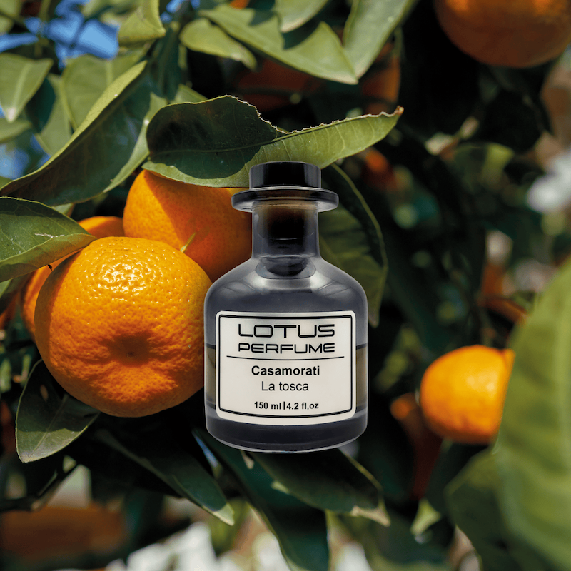 Casamorati La Tosca | لا توسکا از کازاموراتی (هر میل)