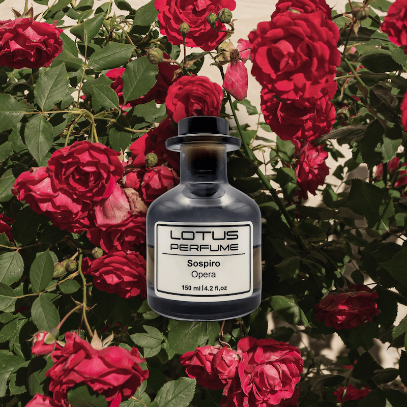 Sospiro Opera | اپرا از سوسپیرو (هر میل)