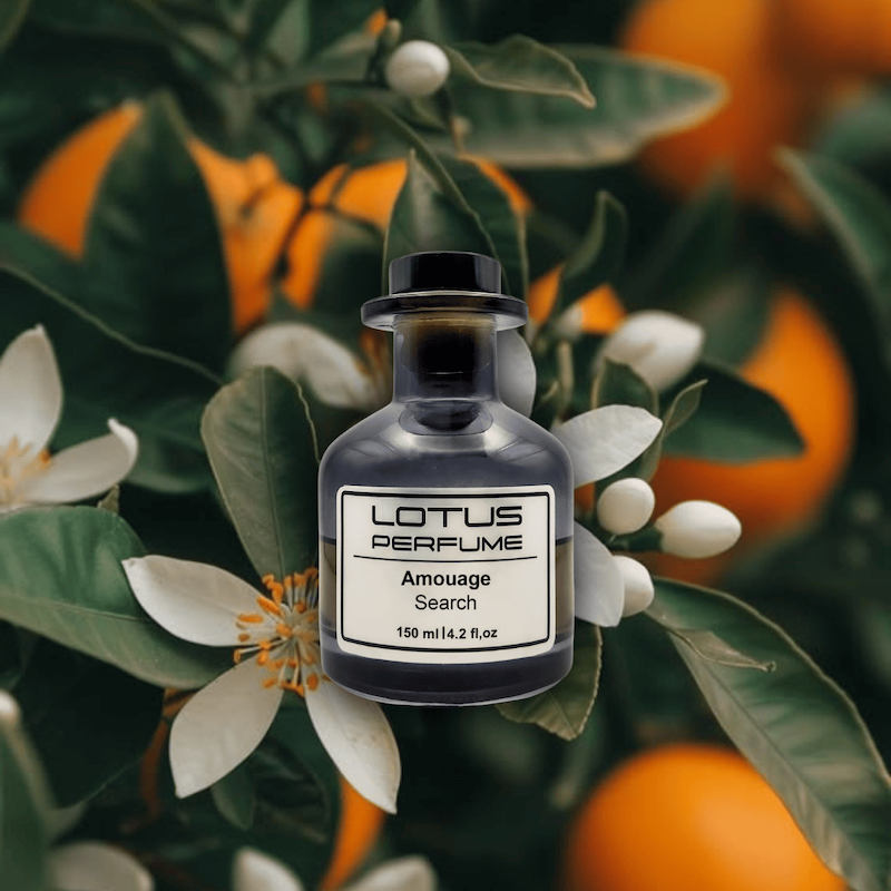 Amouage Search | سرچ از آمواج (هر میل)