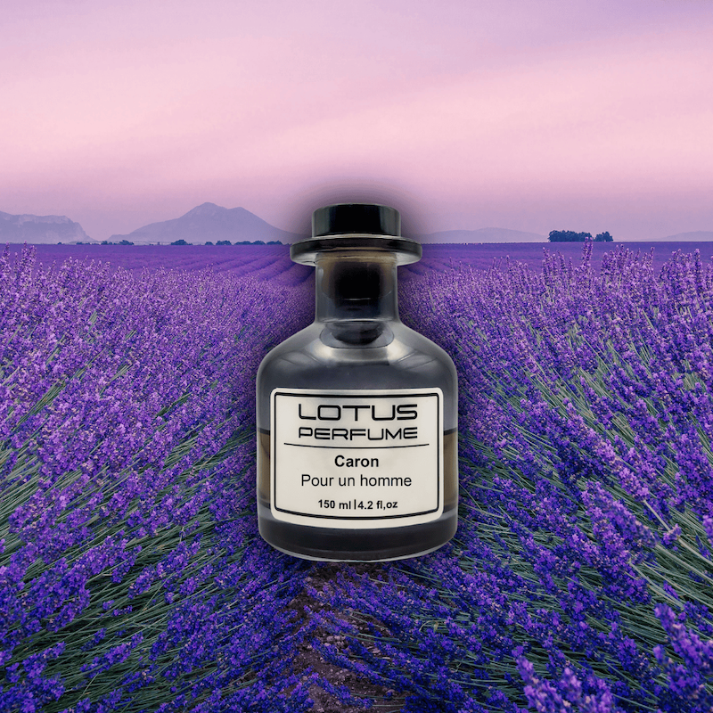 Caron Pour Un Homme | پور آن اوم از کارون (هر میل)