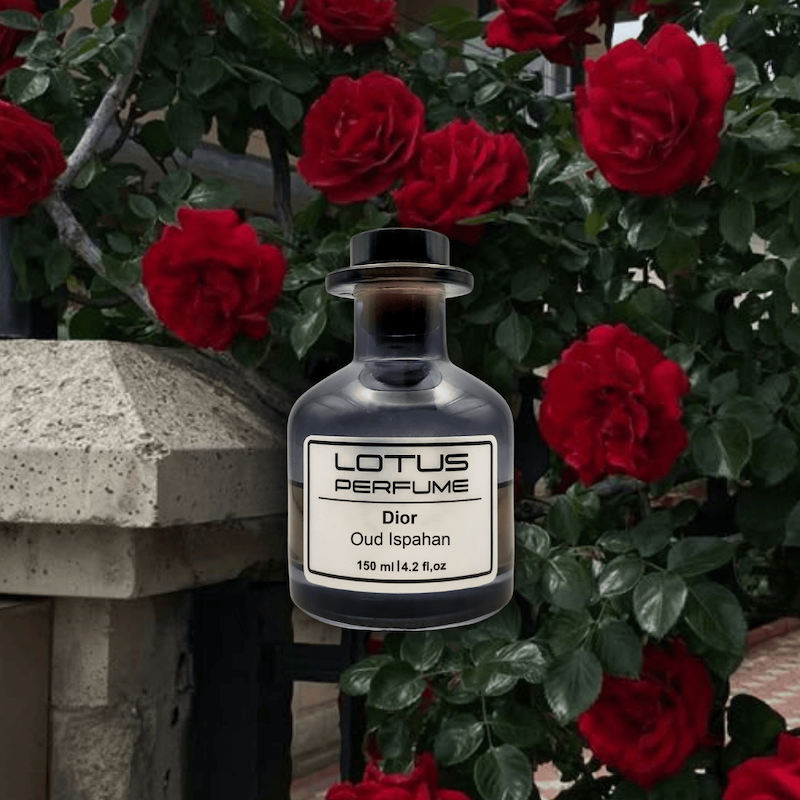 Dior Oud Ispahan | عود اسپهان از دیور (هر میل)
