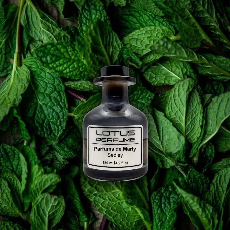Parfums de Marly Sedley | سدلی از پارفومز دو مارلی (هر میل)