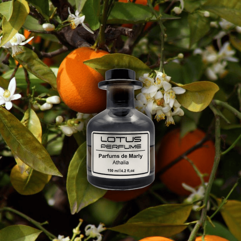 Parfums de Marly Athalia | آتالیا از پارفومز دو مارلی (هر میل)