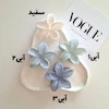 کلیپس پلومریا مرمری