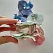 کلیپس ارکیده