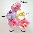 کلیپس گل ارکیده