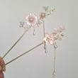 کانزاشی شکوفه مرواریدی