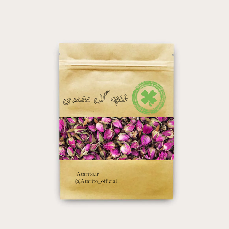 غنچه گل محمدی