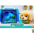 سگ رباتی موزیکال و متحرک مدل PET WORLD با باکس حمل کد699/68