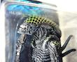 اکشن فیگور Grid Alien از سری Aliens برند NECA – سری 7 با مقیاس 7 اینچ