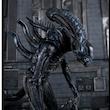اکشن فیگور الین بیگانه aliens برند نکا Neca کد 51415 آلین