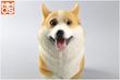 فیگور سگ ولش کورگی مدل NUSITOU حیوانات