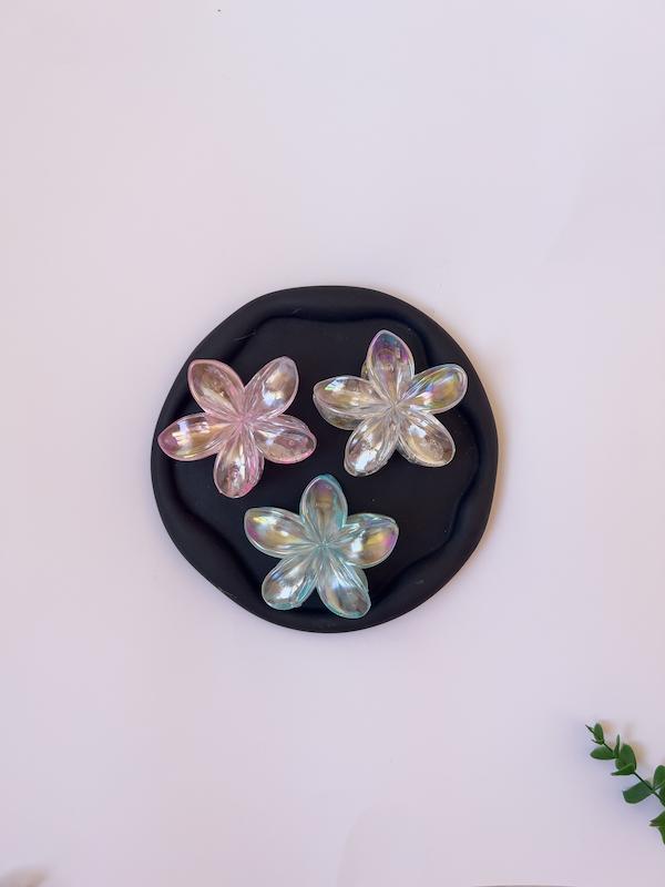 پلومریا شفاف(۸ سانتی)