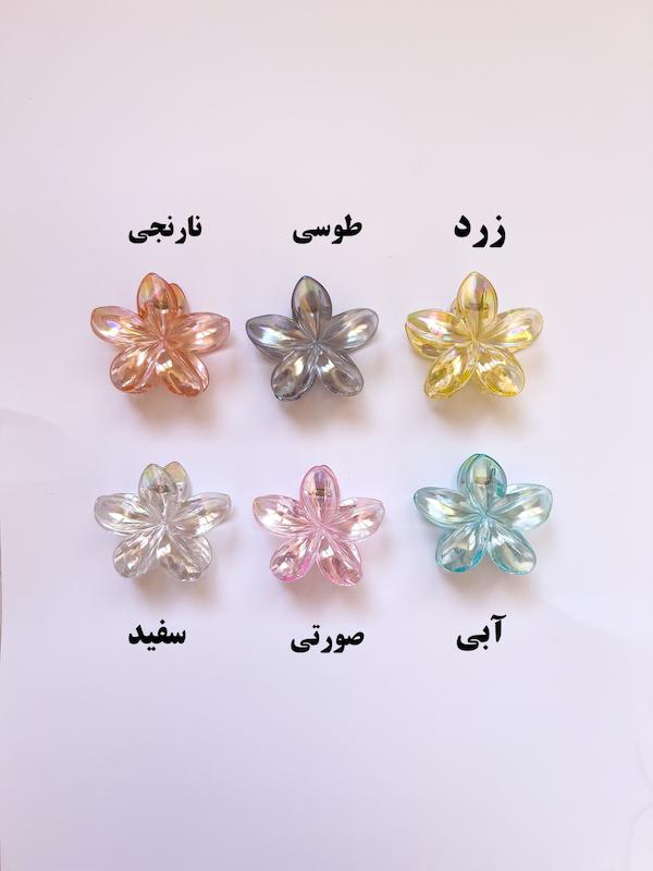 پلومریا شفاف(۸ سانتی)
