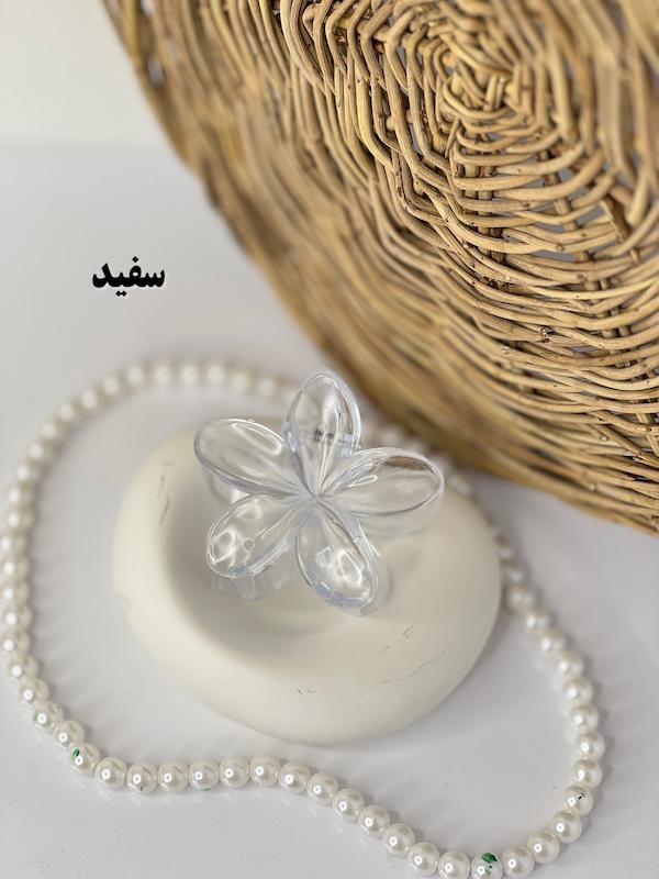 پلومریا شیشه ای💎