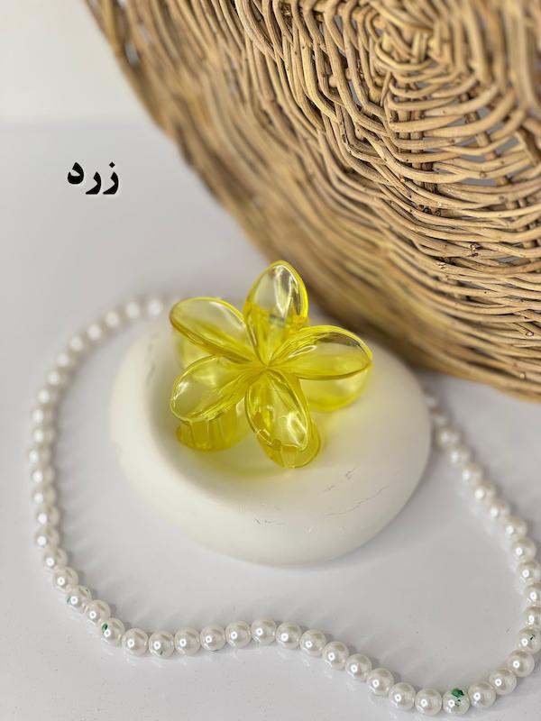 پلومریا شیشه ای💎