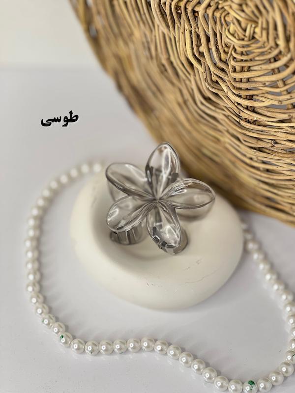 پلومریا شیشه ای💎